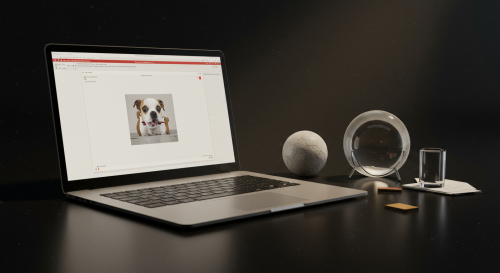 Contratti e Cause la Tua Traduzione Regge Davvero?